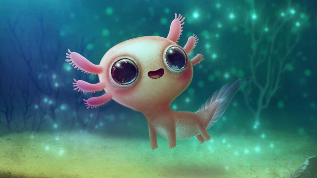 1280x720 Axolotl Wallpaper EUimg, Desktop