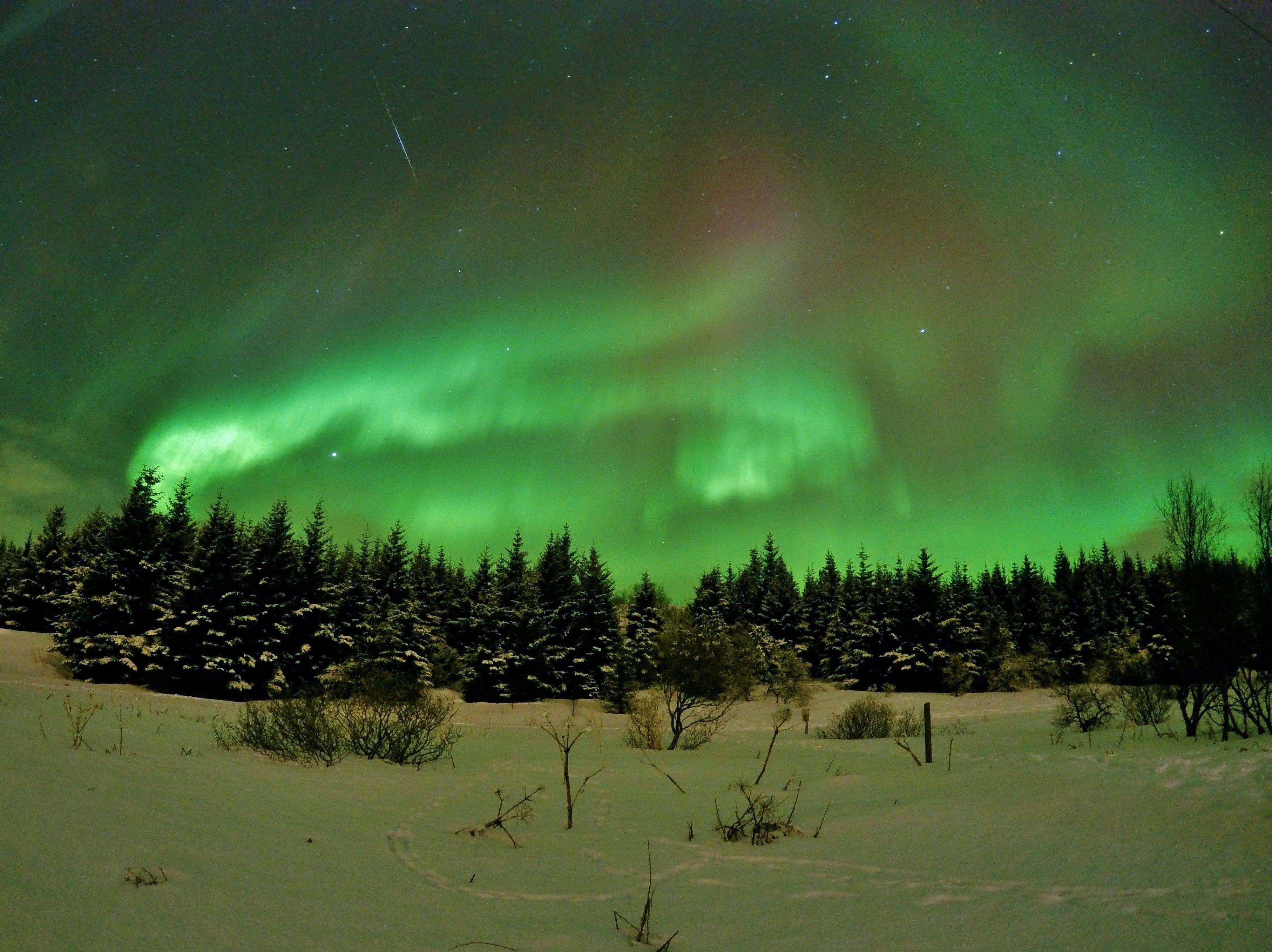 3630x2720 Our hunt for the Northern Lights was pretty damn successful, Desktop