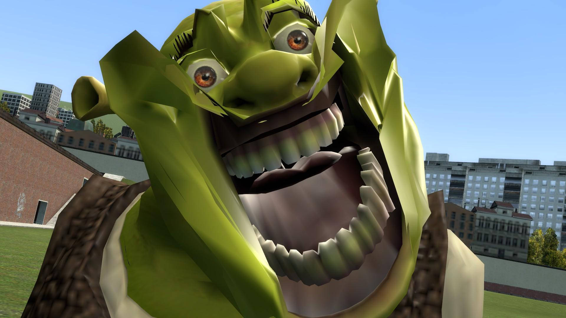 1920x1080 Download Funny Face Of Shrek Wallpaper, Desktop