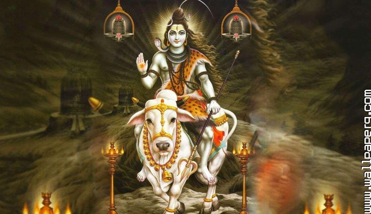 1280x740 Download Shiva nandi wallpaper for your mobile cell phone, Desktop