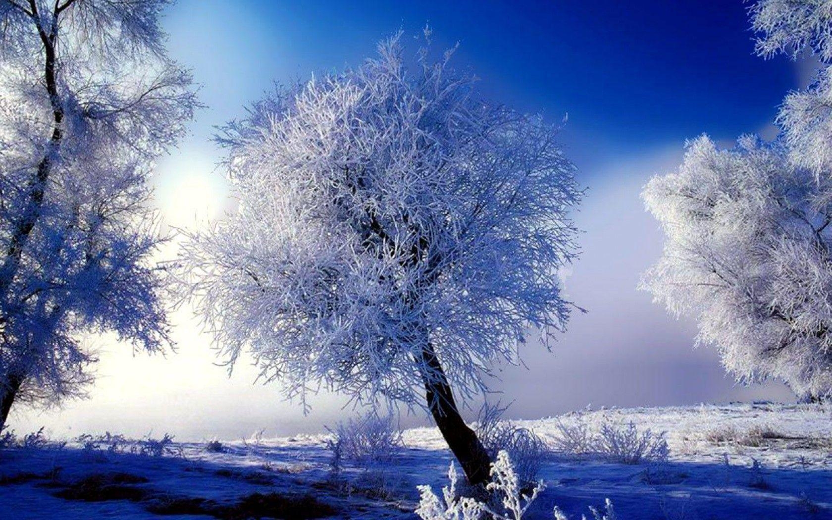 1680x1050 winter scene wallpaper HD, Desktop