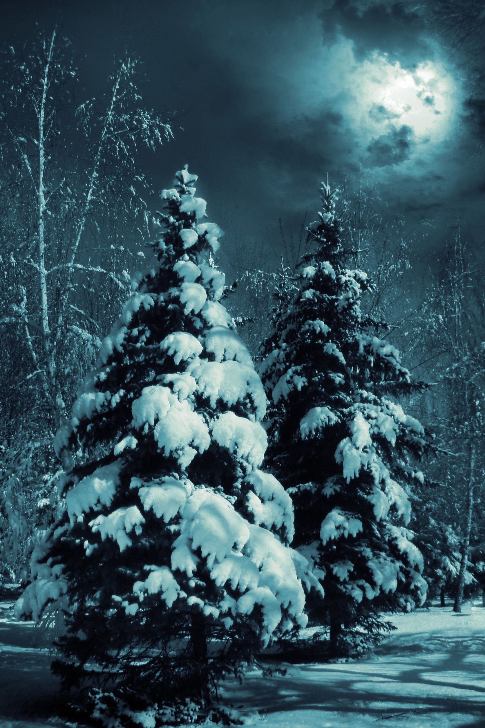 1680x2510 Android Free Winter Wallpaper, Phone