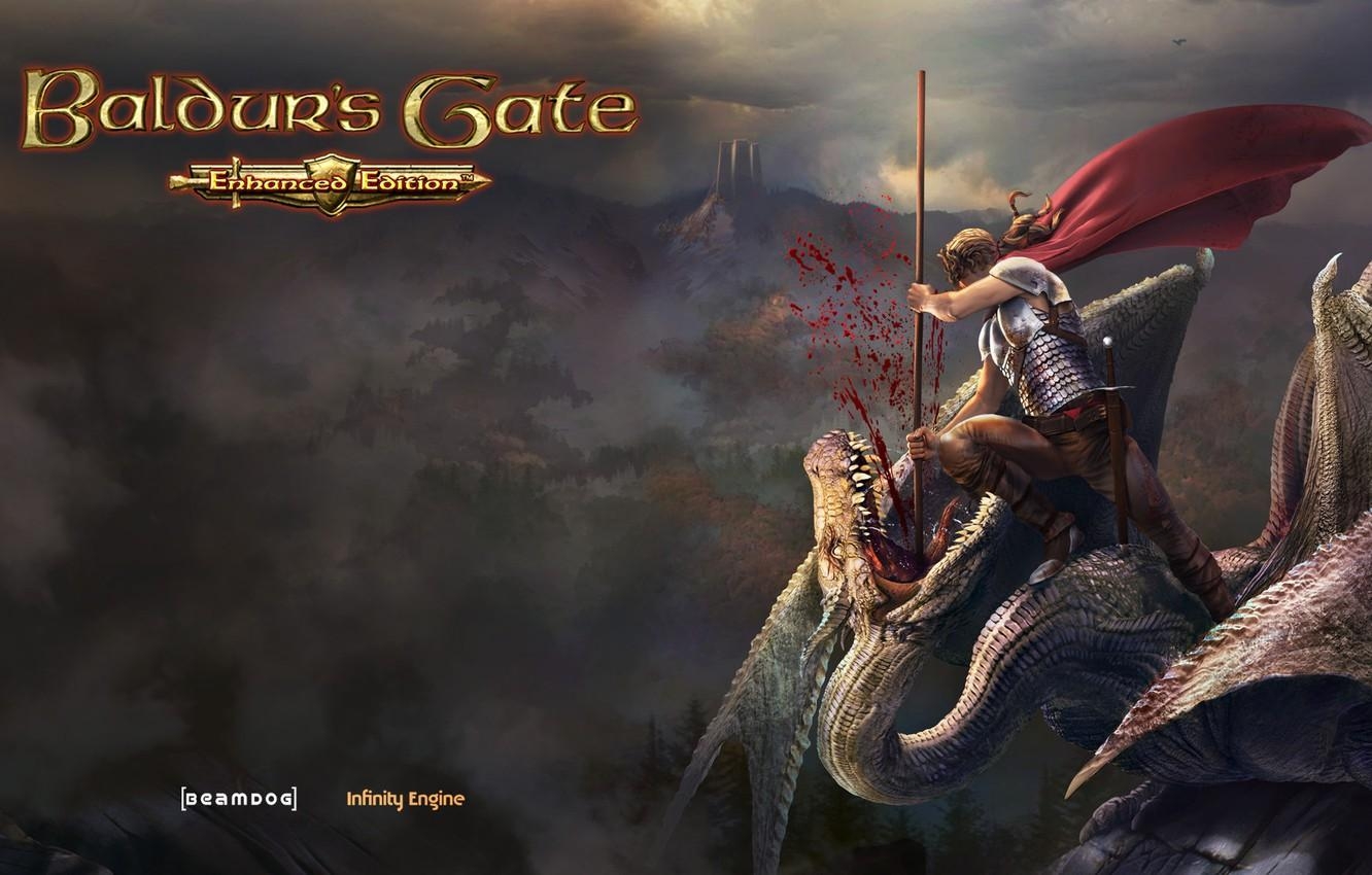 1340x850 Wallpaper dragon, warrior, Baldur's Gate, Wyvern Slayer, Desktop