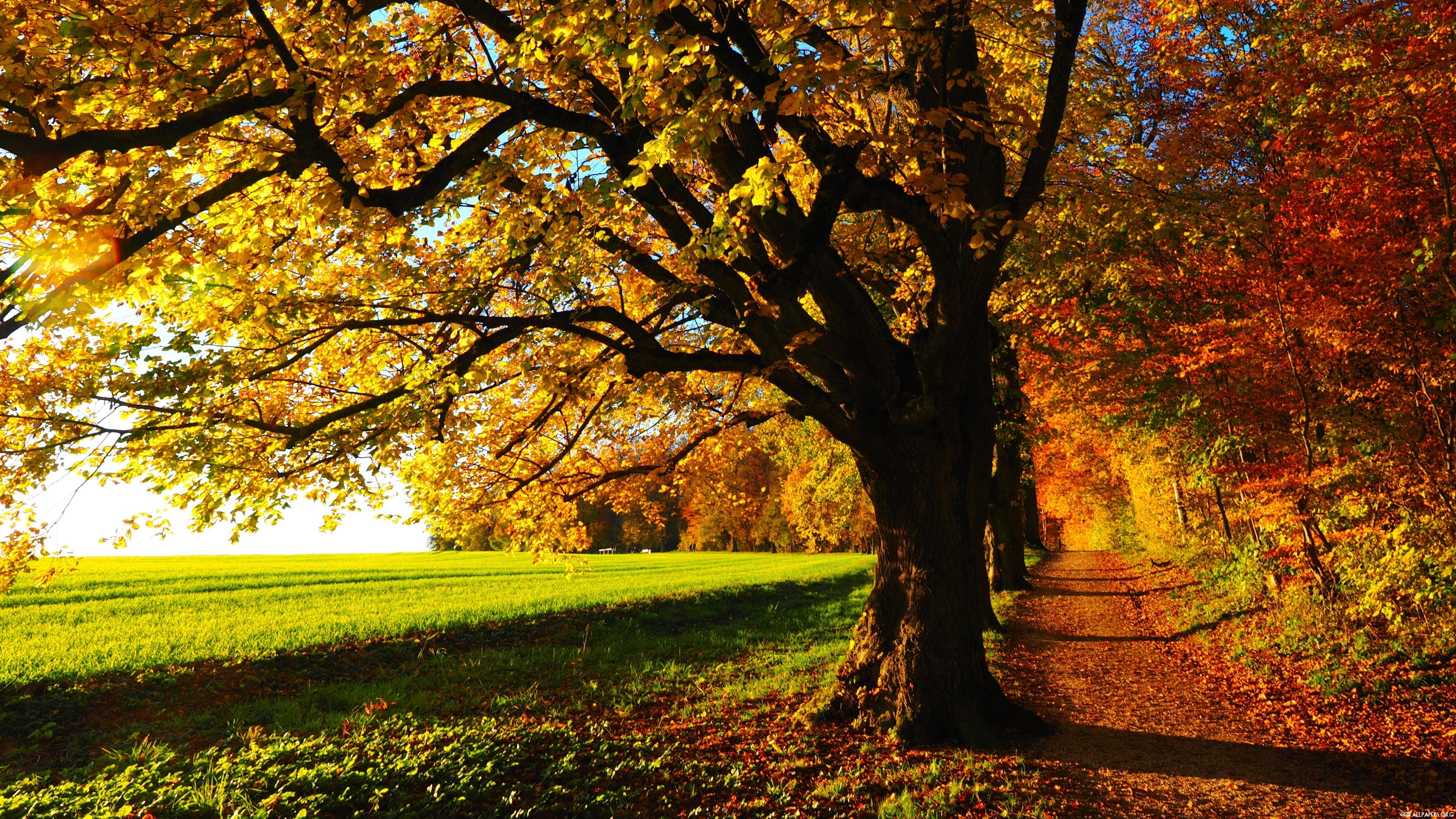 3840x2160 4K Autumn Wallpaper, Desktop