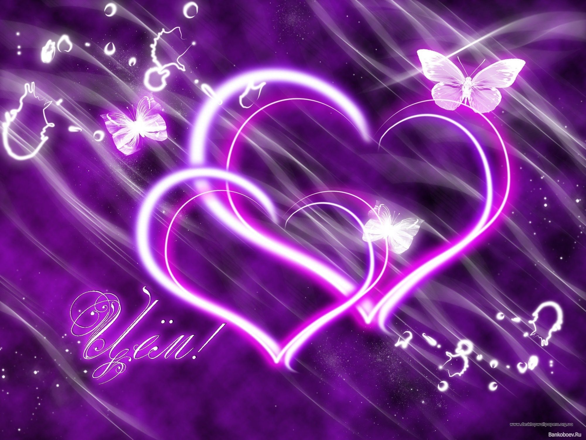 2000x1500 Purple Heart Wallpaper Free Purple Heart Background, Desktop