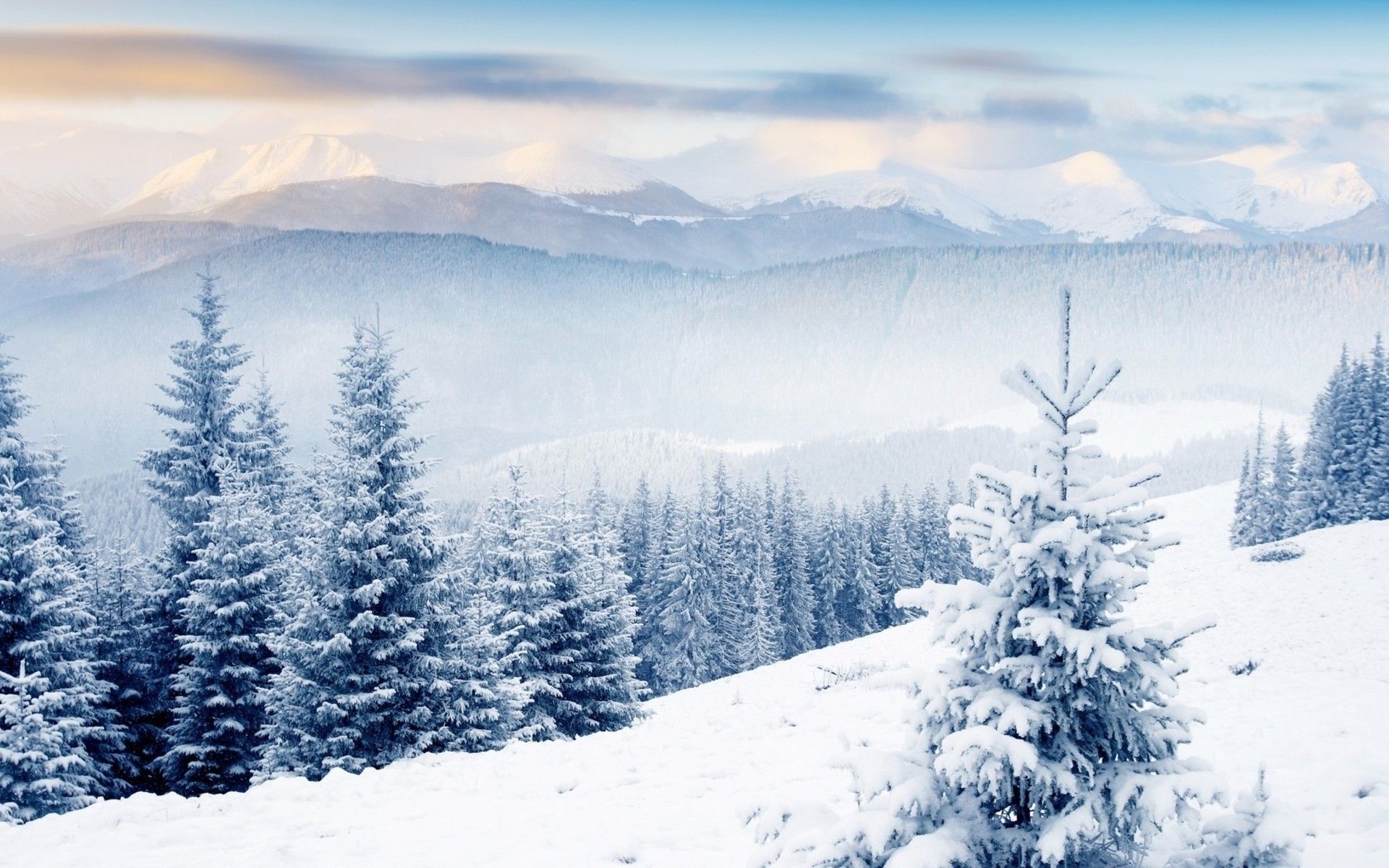 1920x1200 Winter Scene Desktop Background, Desktop