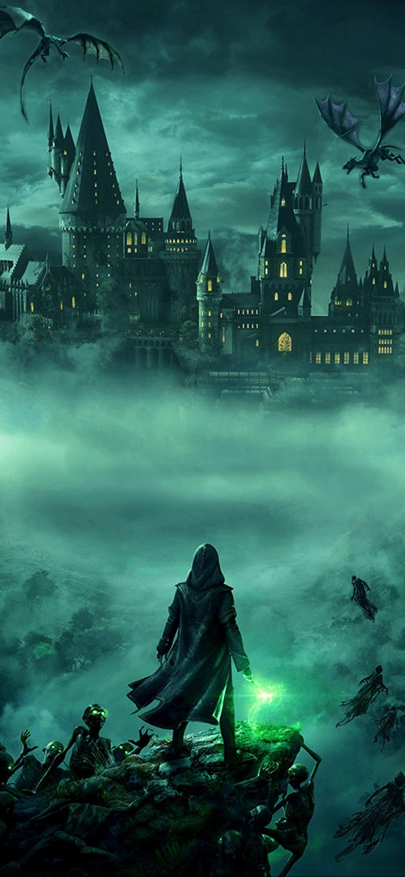 830x1800 Hogwarts Path Phone Wallpaper, Phone