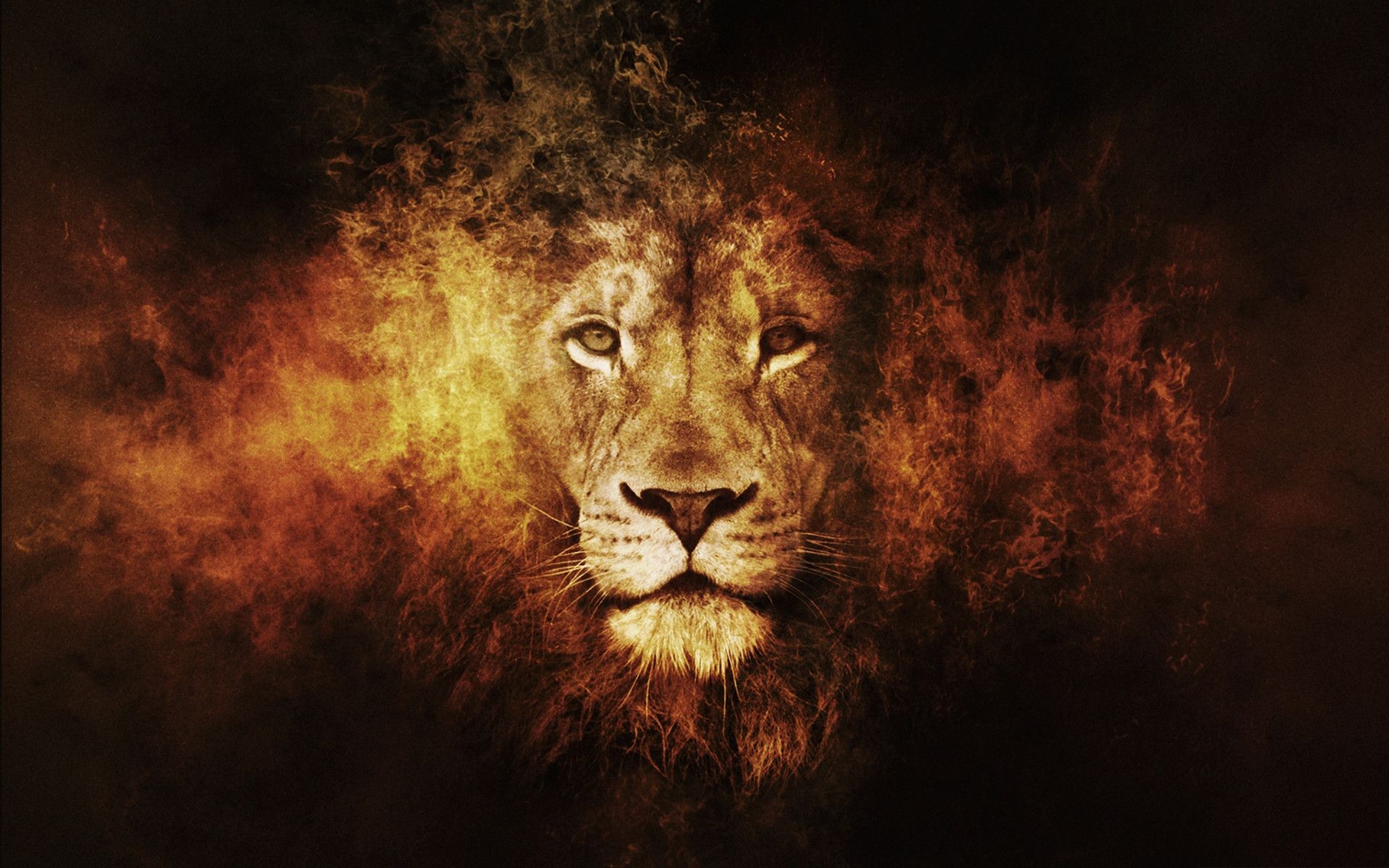 1920x1200 Lion of Judah Wallpaper Free Lion of Judah Background, Desktop