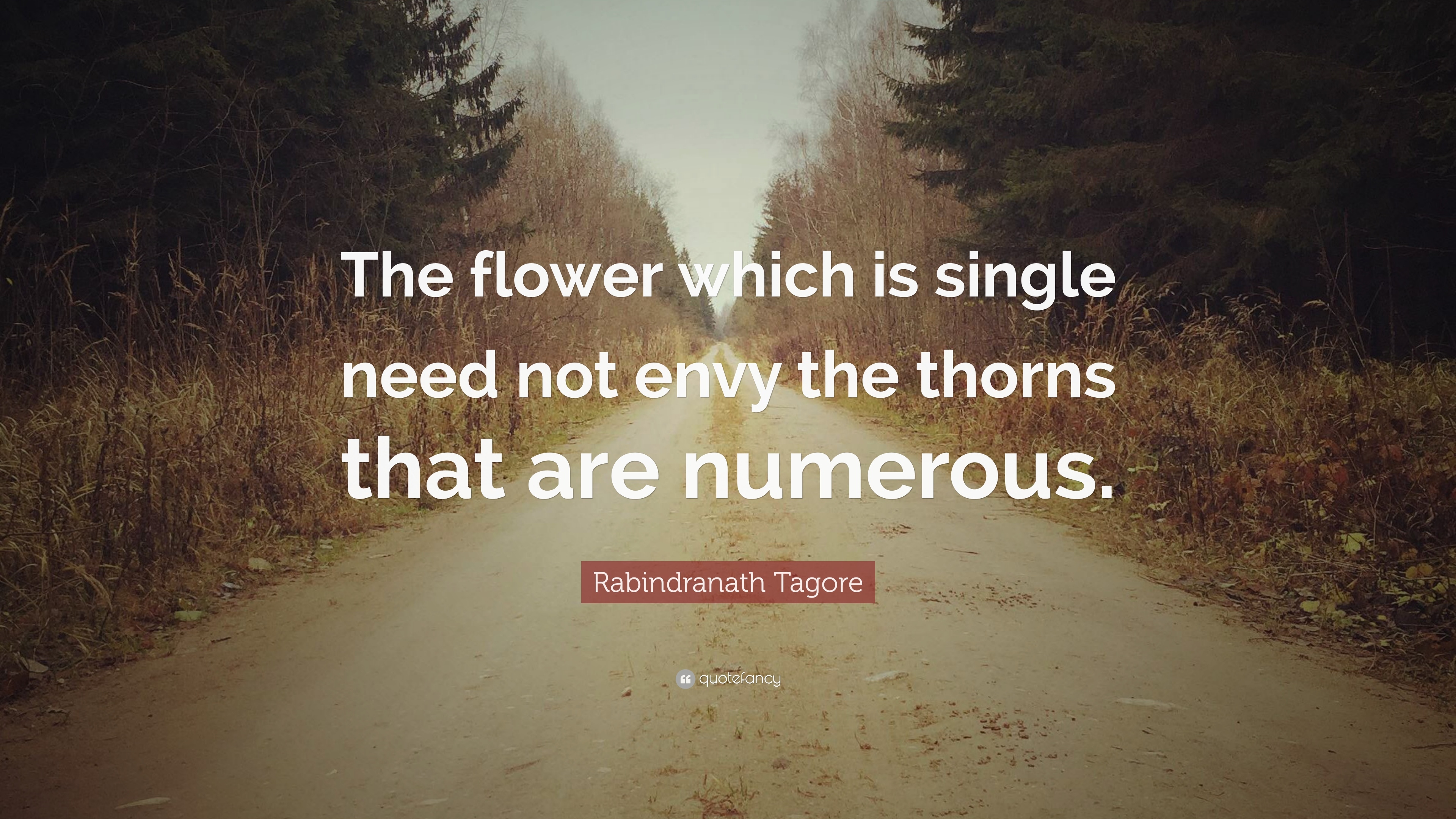 3840x2160 Rabindranath Tagore Quote: “The flower which is single need, Desktop