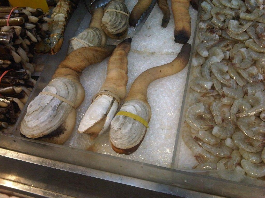 1030x770 geoduck clams. Ballet shoes, Dance shoes, Shoes, Desktop