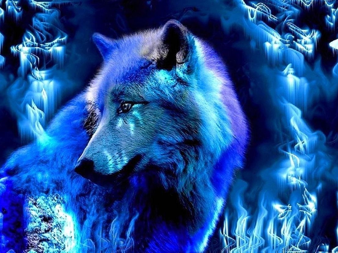 1110x830 Blue Wolf HD Wallpaper Wallpaper.Pro, Desktop