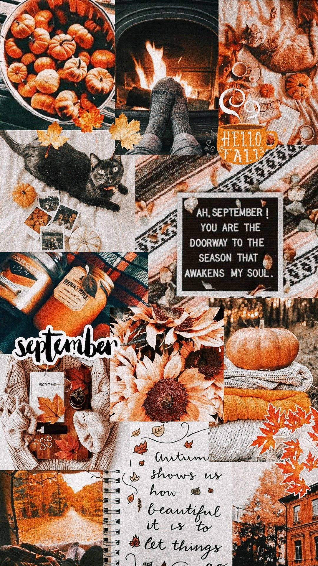 1080x1920 Download Aesthetic Orange Fall iPhone Collage Wallpaper, Phone