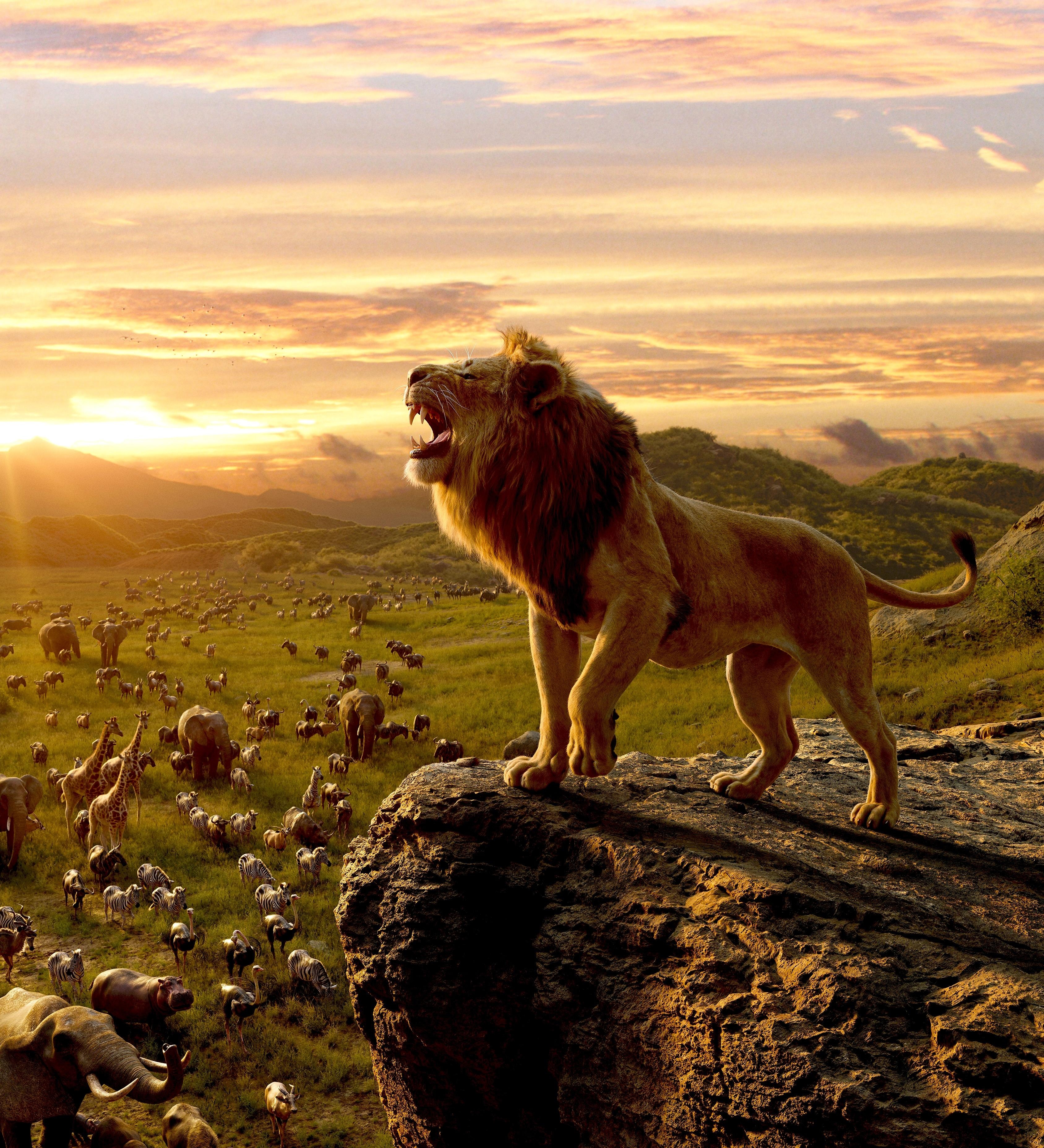 3380x3720 Download  Simba, The Lion King, Roar, Cliff, Phone