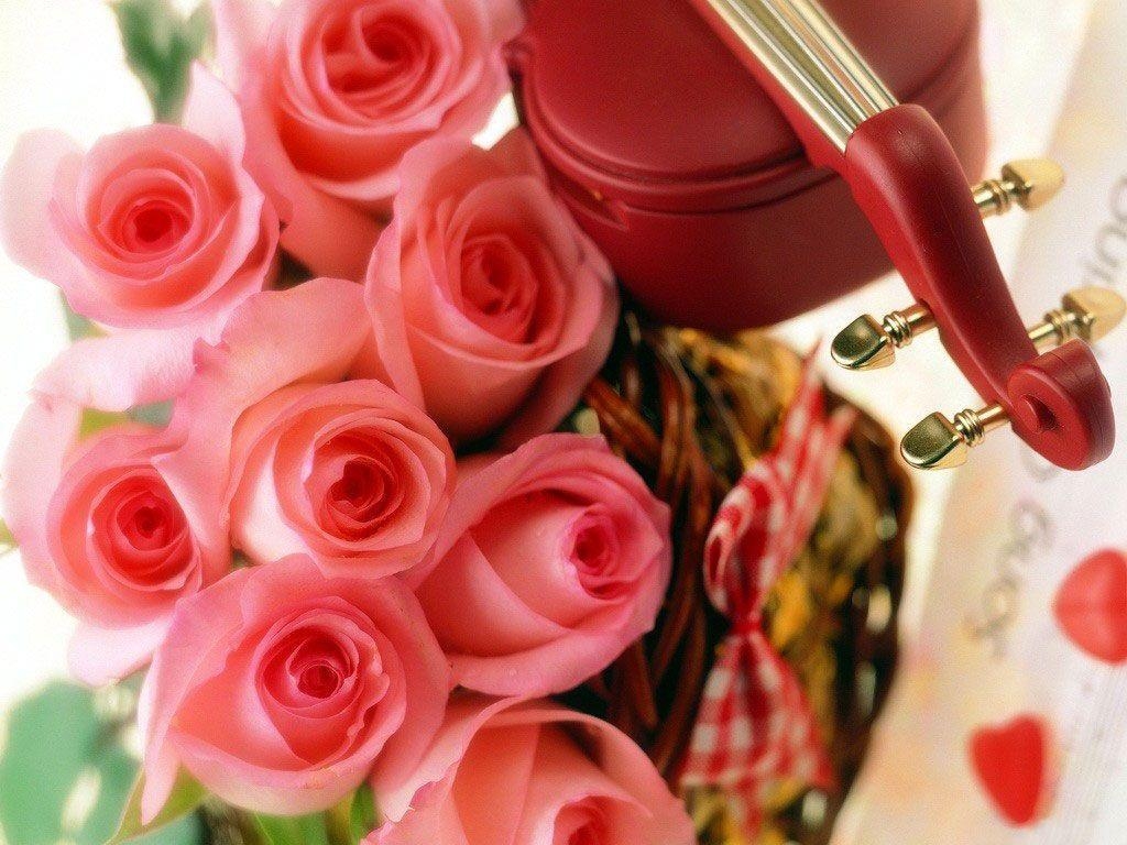 1030x770 Beautiful Roses Wallpaper (20 Photo). funmag, Desktop