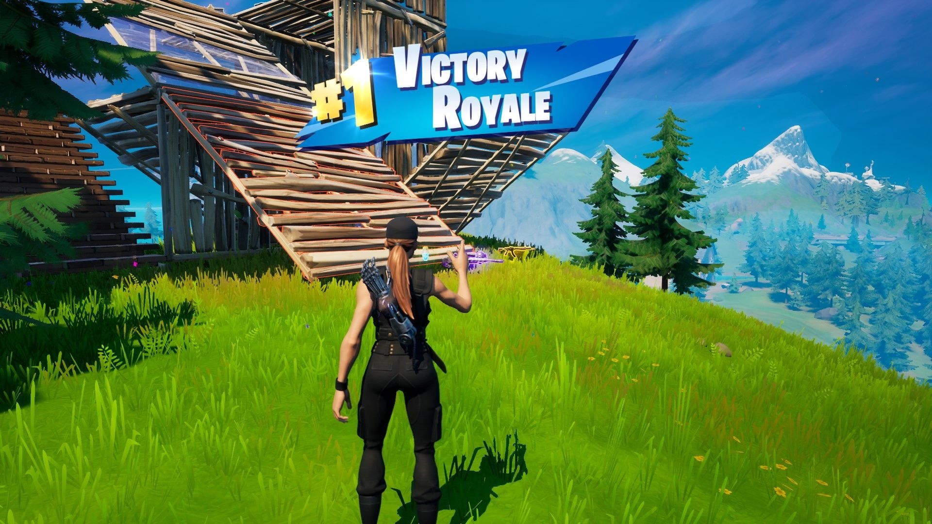 1920x1080 Sarah Connor Fortnite wallpaper, Desktop