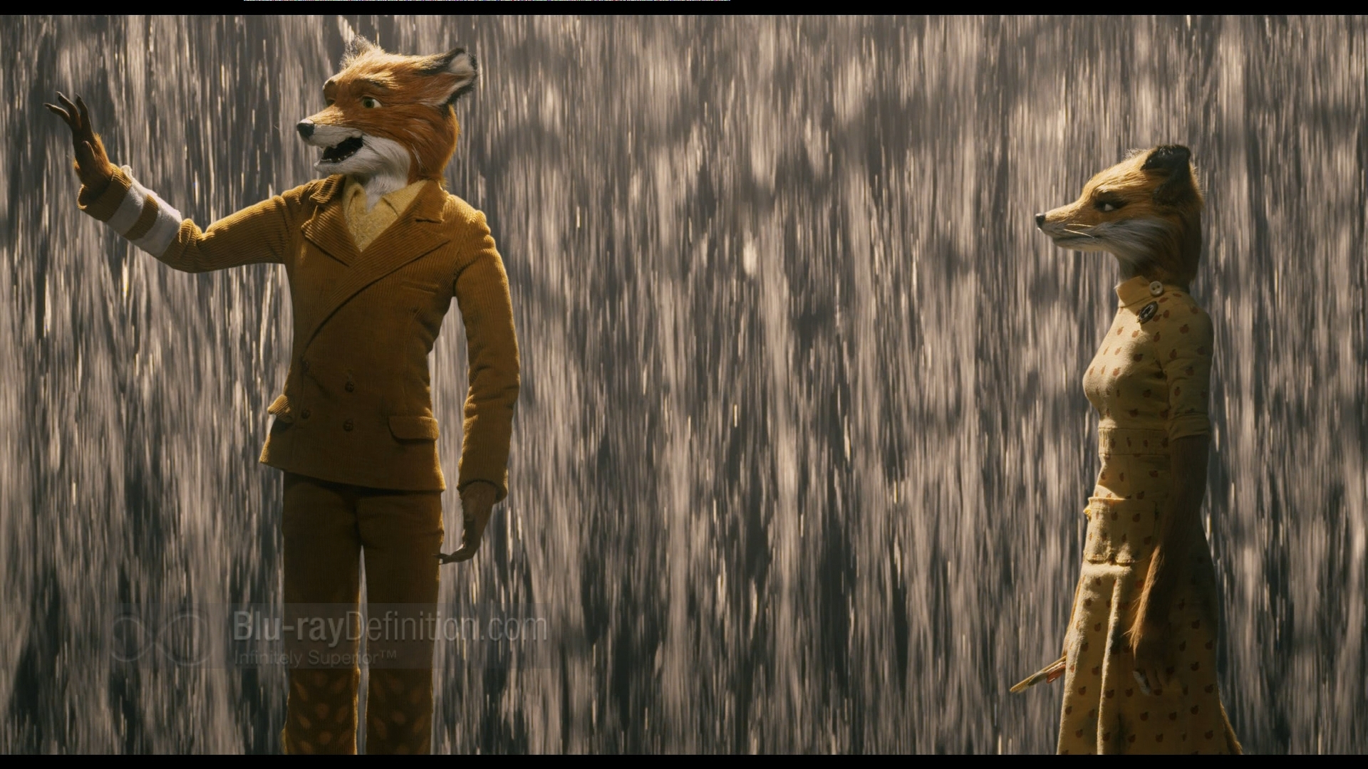 1920x1080 Fantastic Mr. Fox, Desktop