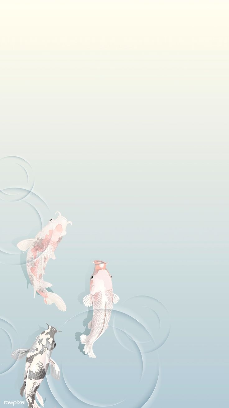 740x1310 Fish wallpaper iphone, Koi wallpaper, Phone