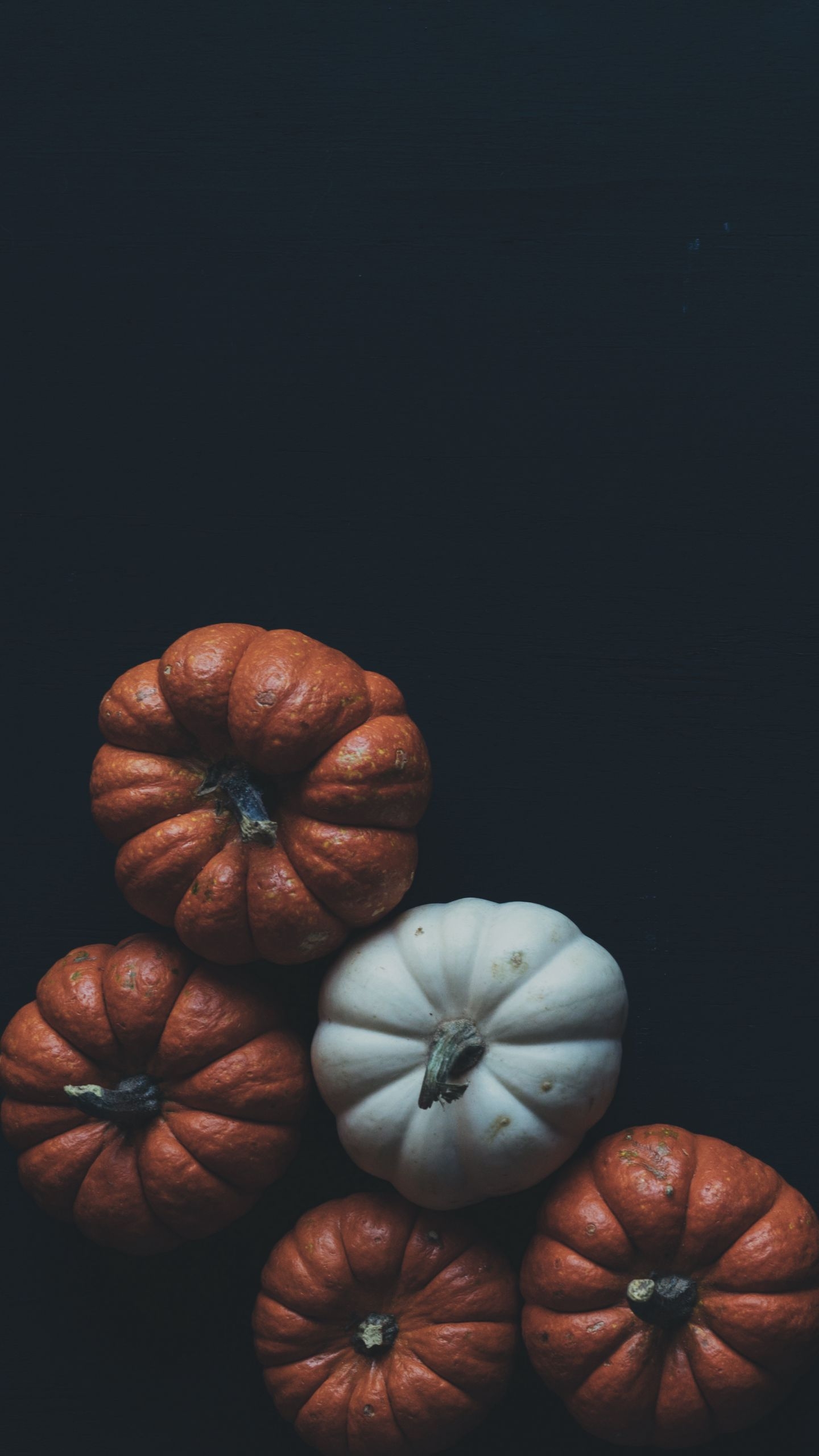 1440x2560 Download wallpaper  pumpkin, vegetables, dark qhd samsung galaxy s s edge, note, lg g4 HD background, Phone