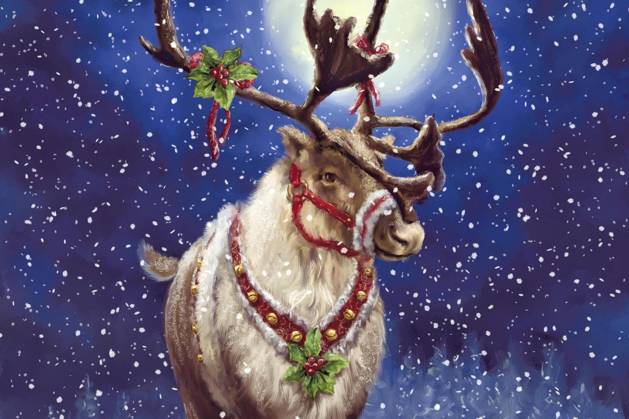 2000x1340 Reindeer HD Desktop Wallpaper for Widescreen, High Definition, Desktop