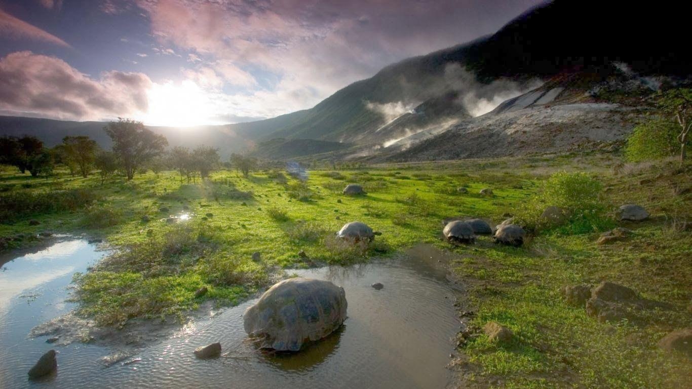 1370x770 Galapagos island view, Desktop