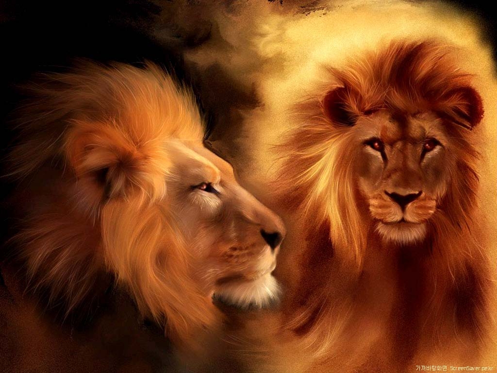 1030x770 Lion Christian Wallpaper Free Download Animal Wallpaper 3D, Desktop