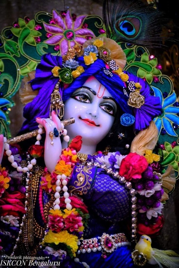 740x1110 krishna 4k wallpaper, krishna ji, Phone