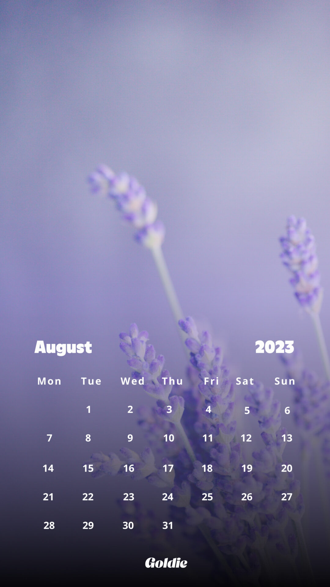 1080x1920 Free August 2023 Calendar Wallpaper, Phone