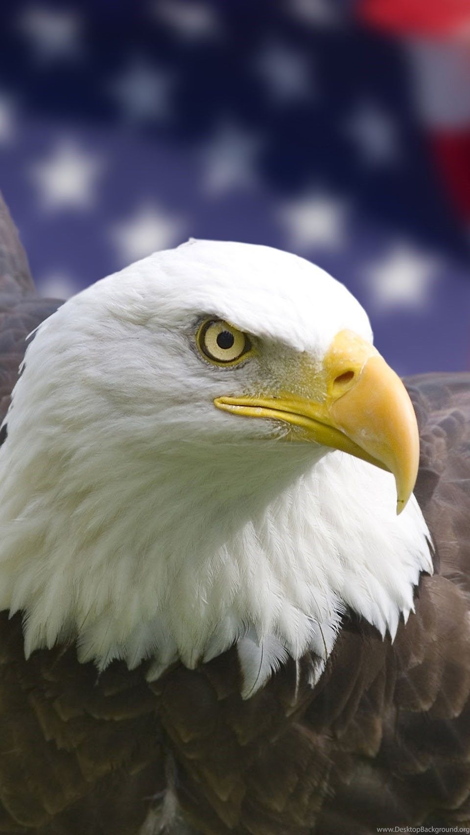 960x1710 American Eagle Smartphone Wallpaper Free American Eagle, Phone