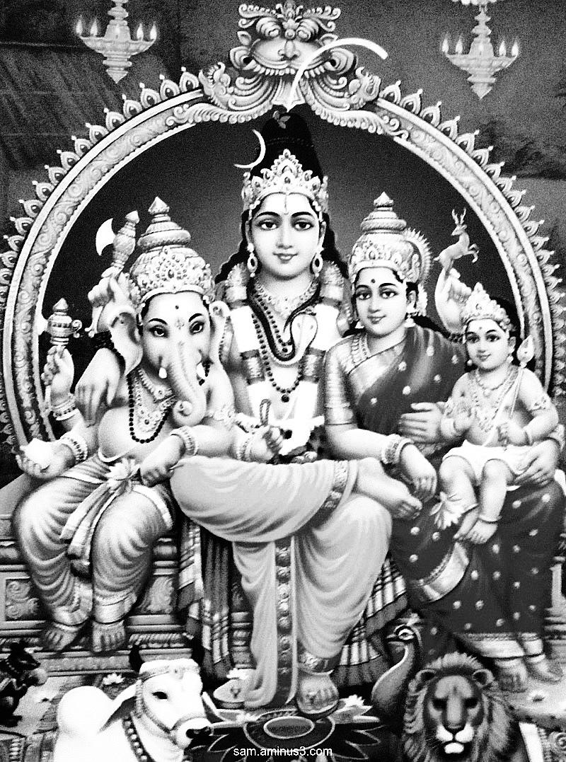 800x1080 Shiva Family Photo, Phone