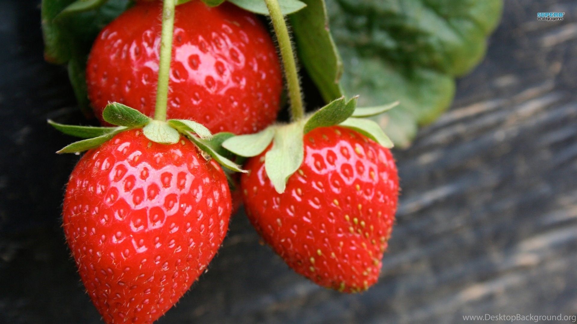 1920x1080 HD Cute Strawberry Fruit Wallpaper 1080p HiReWallpaper 10210, Desktop