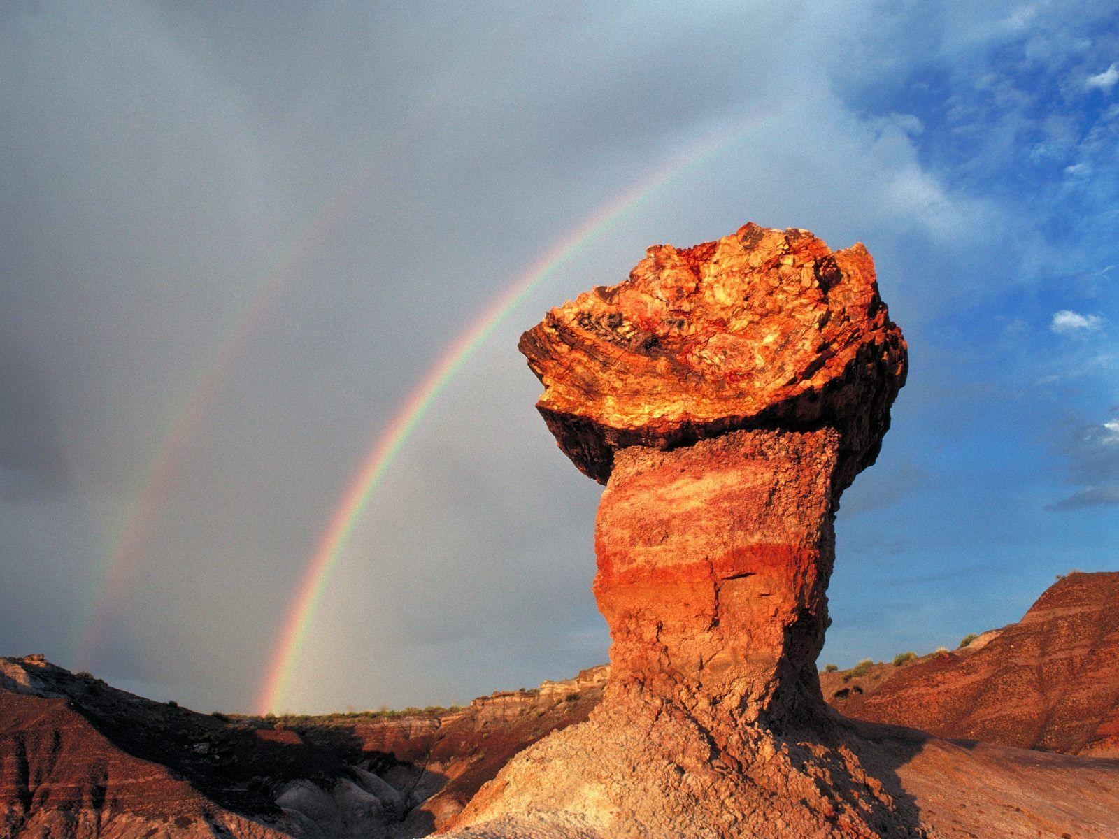 1600x1200 Wallpaper Pedestal Log Blue Mesa Petrified Forest National Park, Desktop