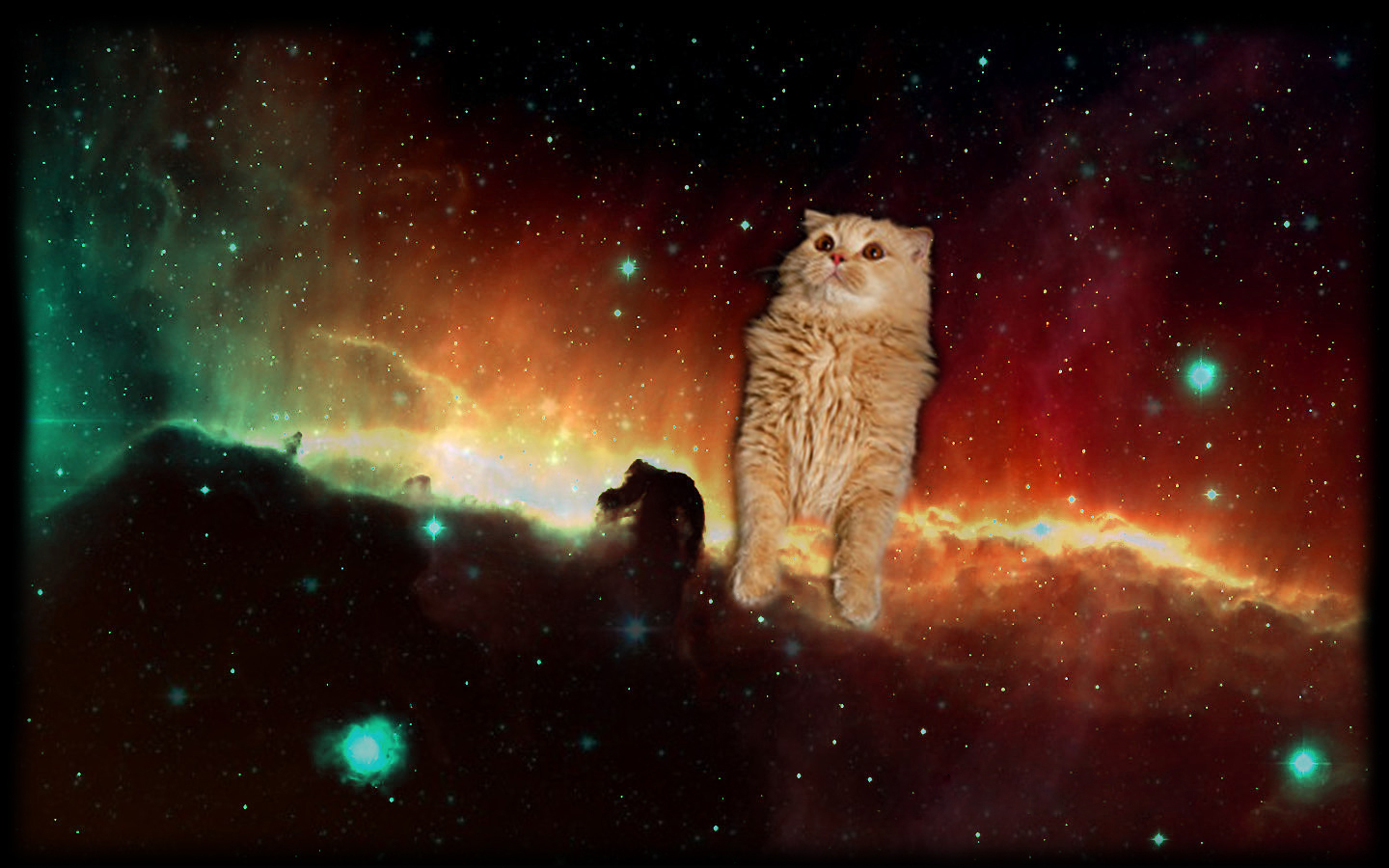 1440x900 Space Cat, Desktop