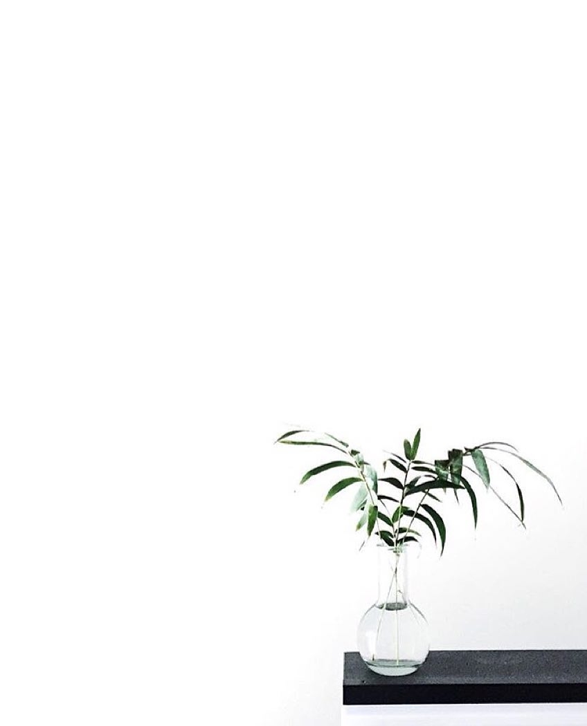 850x1050 White Aesthetic Plants Wallpaper Free White Aesthetic Plants, Phone