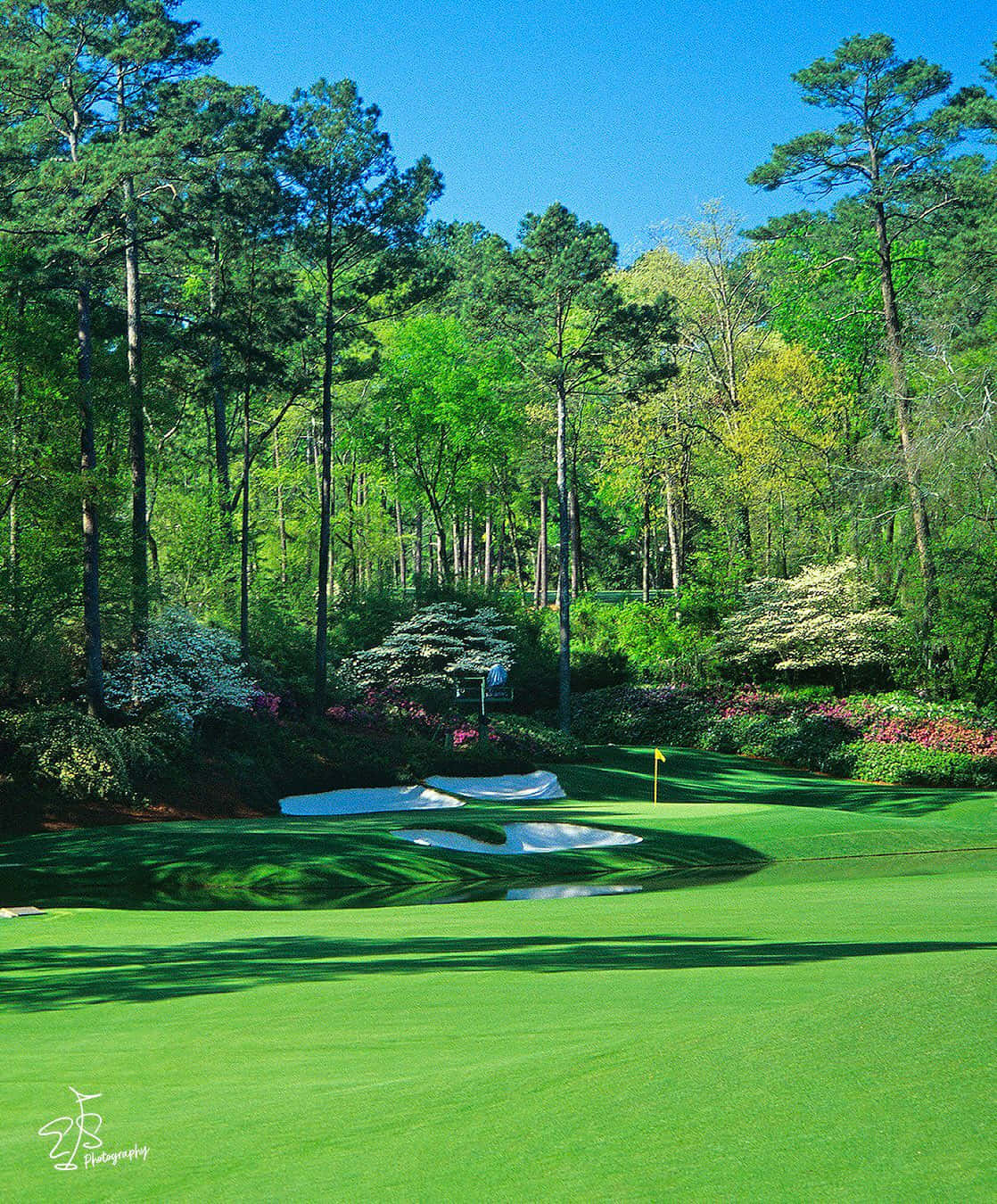 1120x1350 at Augusta National Wallpaper, Phone