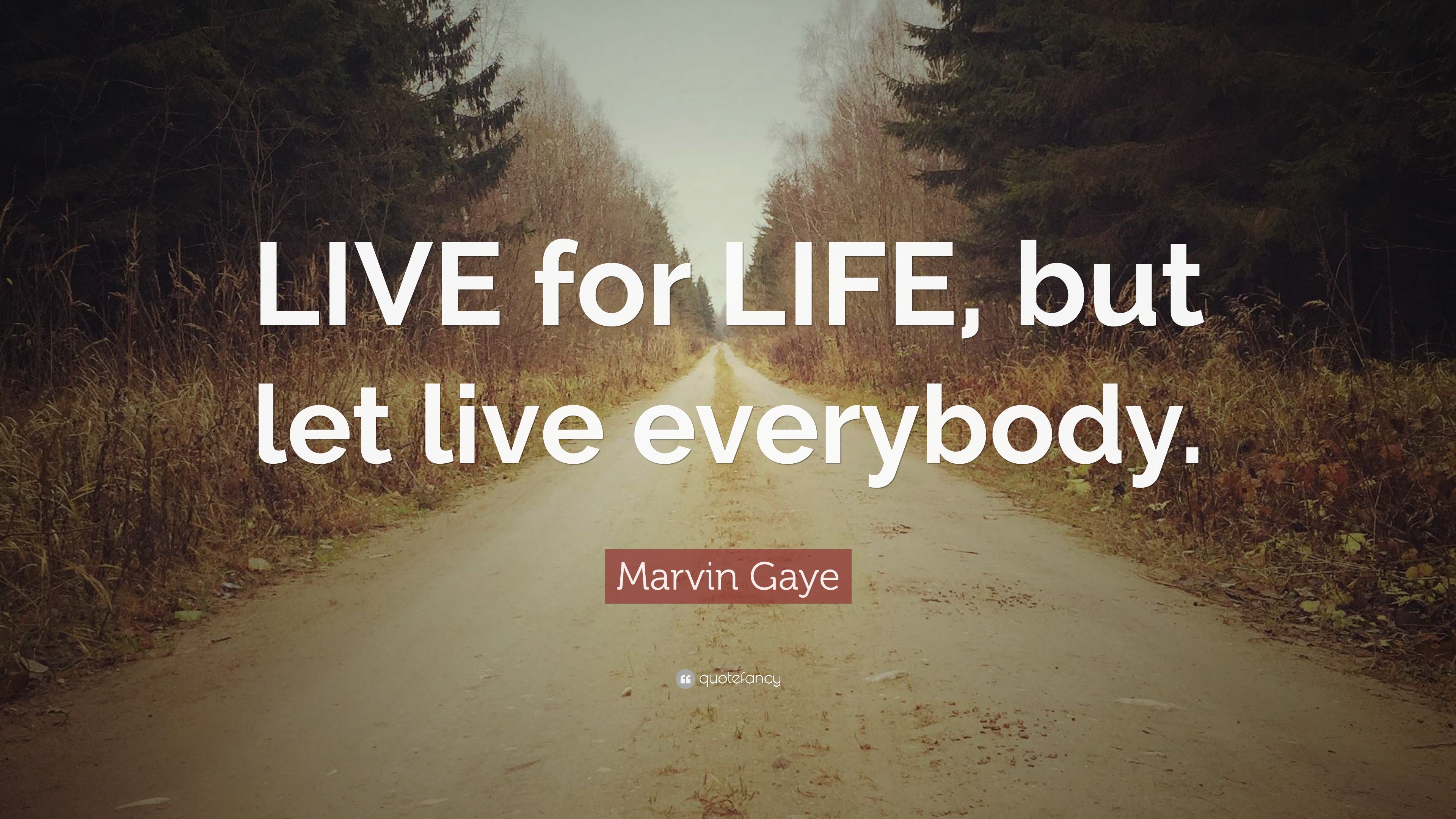 3840x2160 Marvin Gaye Quote: “LIVE for LIFE, but let live everybody.” 10, Desktop