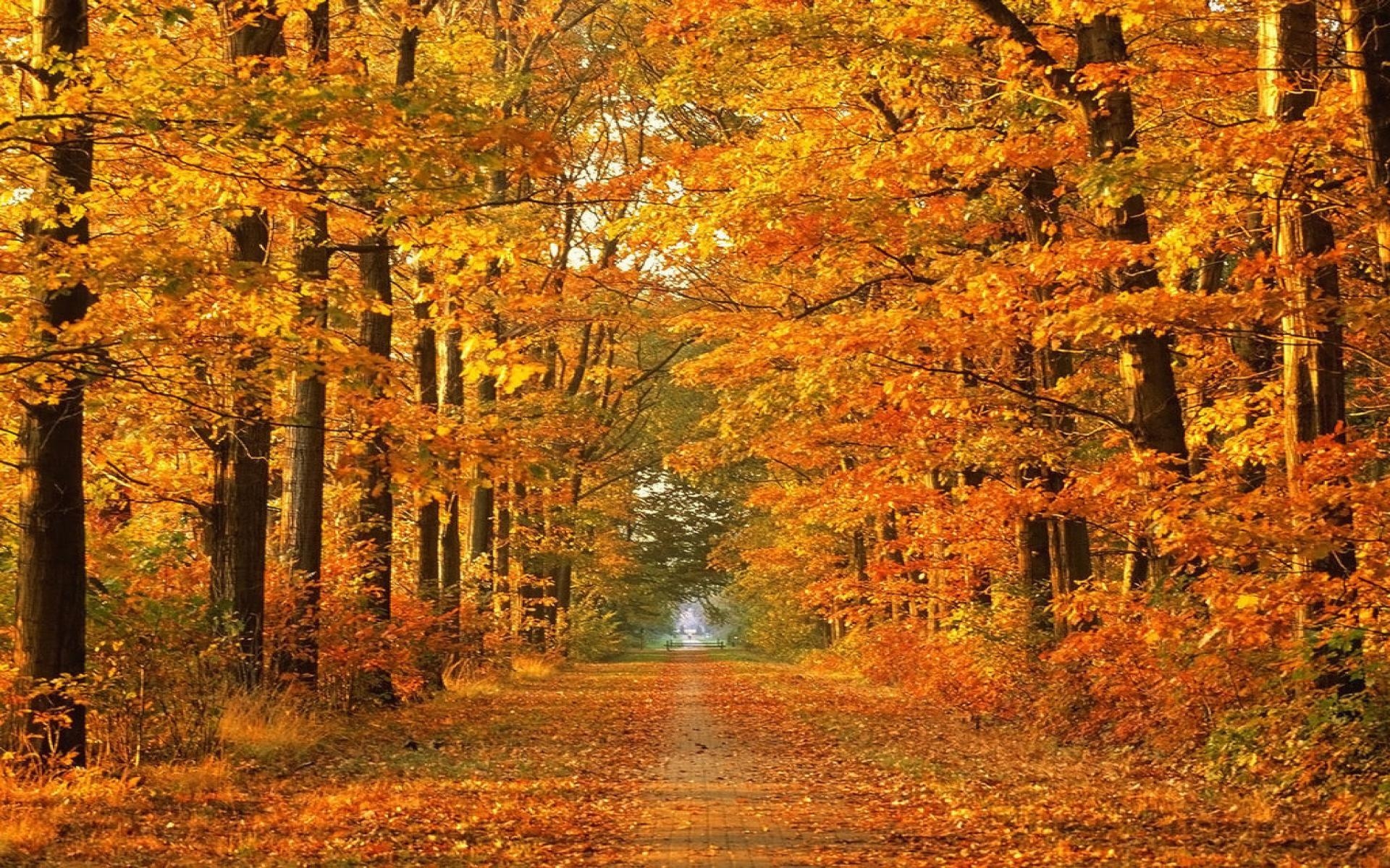 1920x1200 High Res Herbst Wallpaper Kayla Ballmann Wed 13 May, Desktop