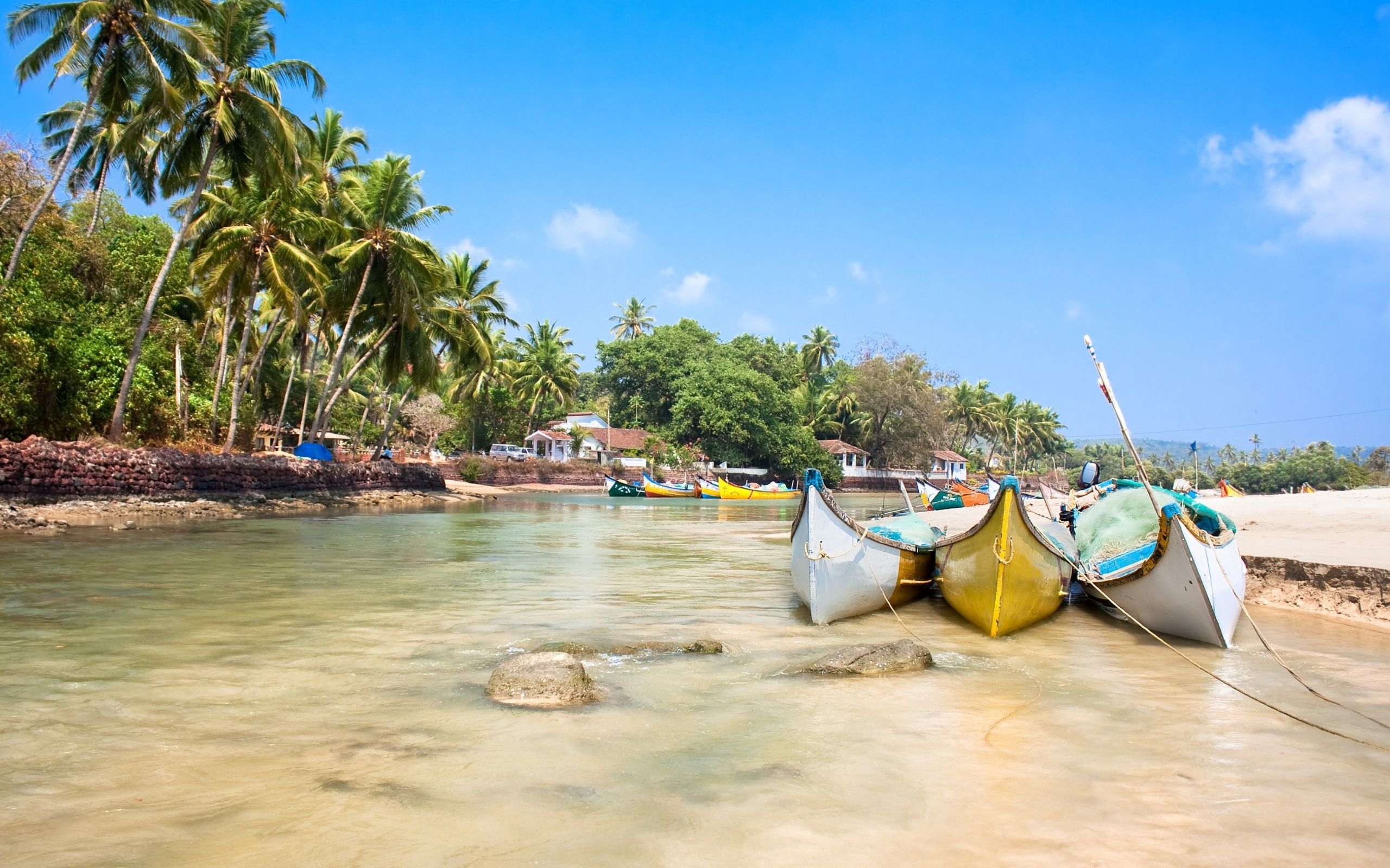 2560x1600 Download Goa, 5k, 4k wallpaper, India, Indian ocean, palms, boats, Desktop