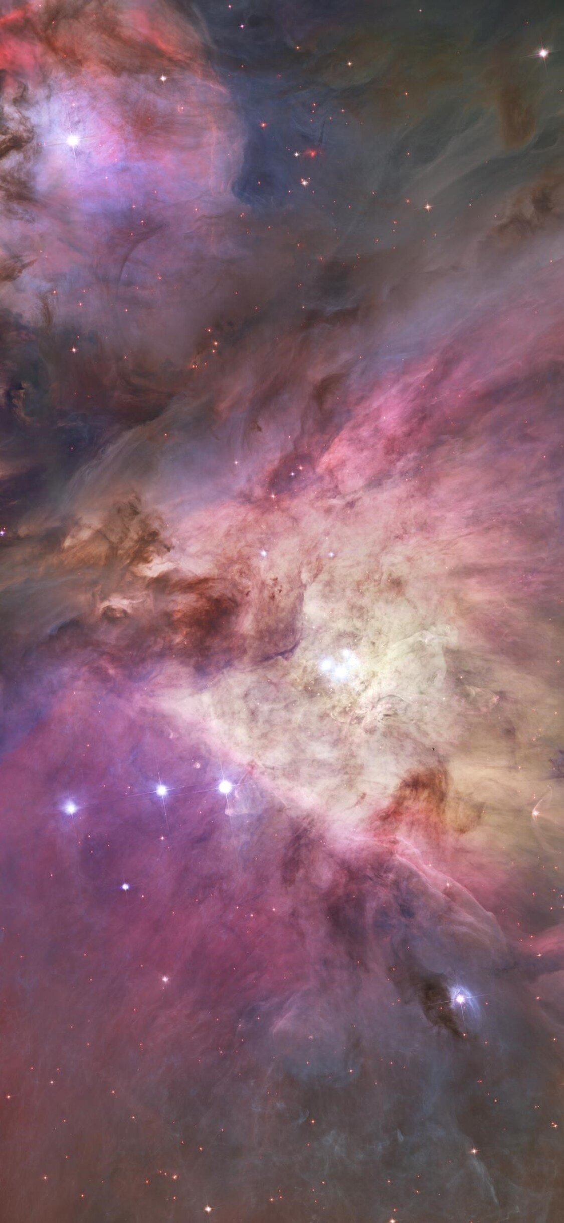 1130x2440 Orion Nebula iPhone XS, iPhone iPhone X HD 4k Wallpaper, Image, Background, Photo and Picture, Phone