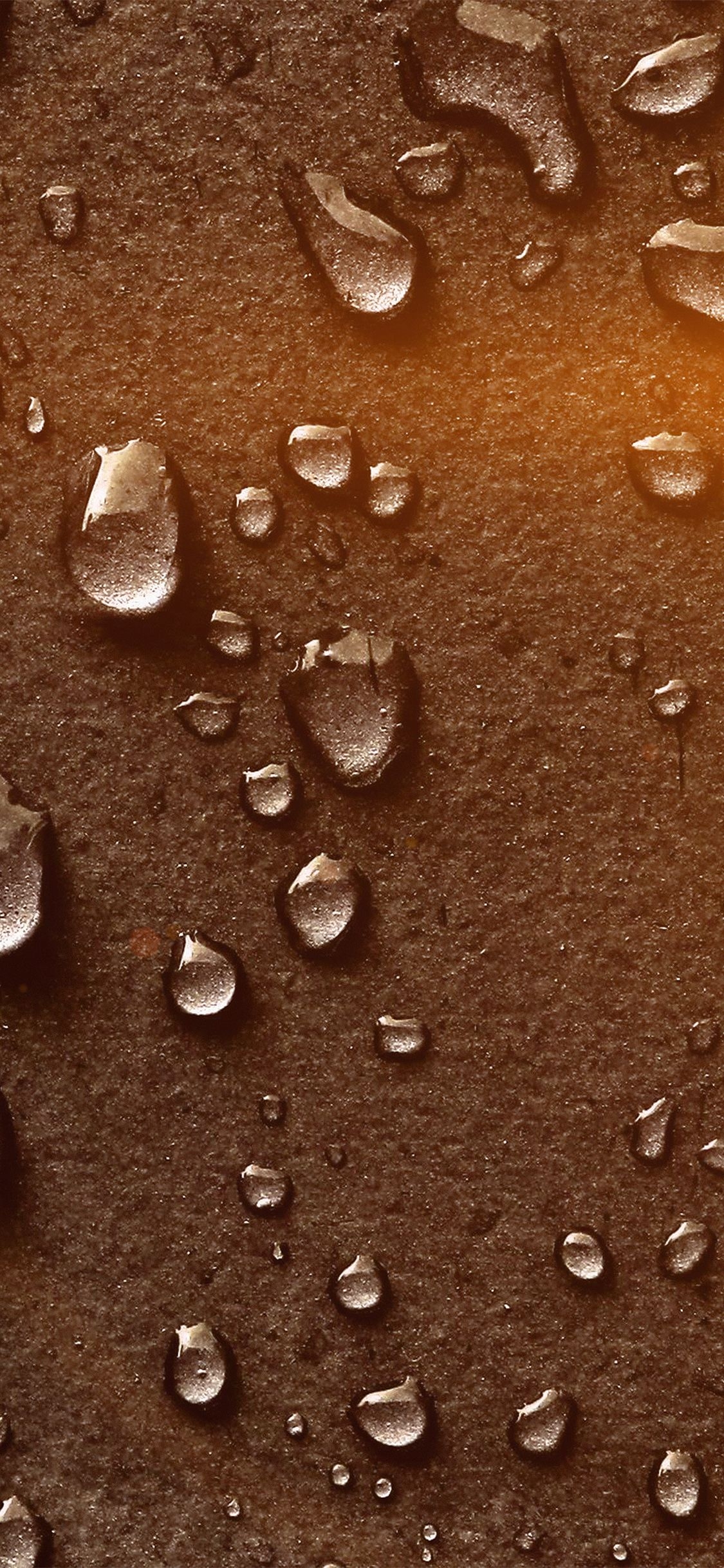 1130x2440 iPhone X wallpaper. drops of rain brown nature texture pattern flare, Phone