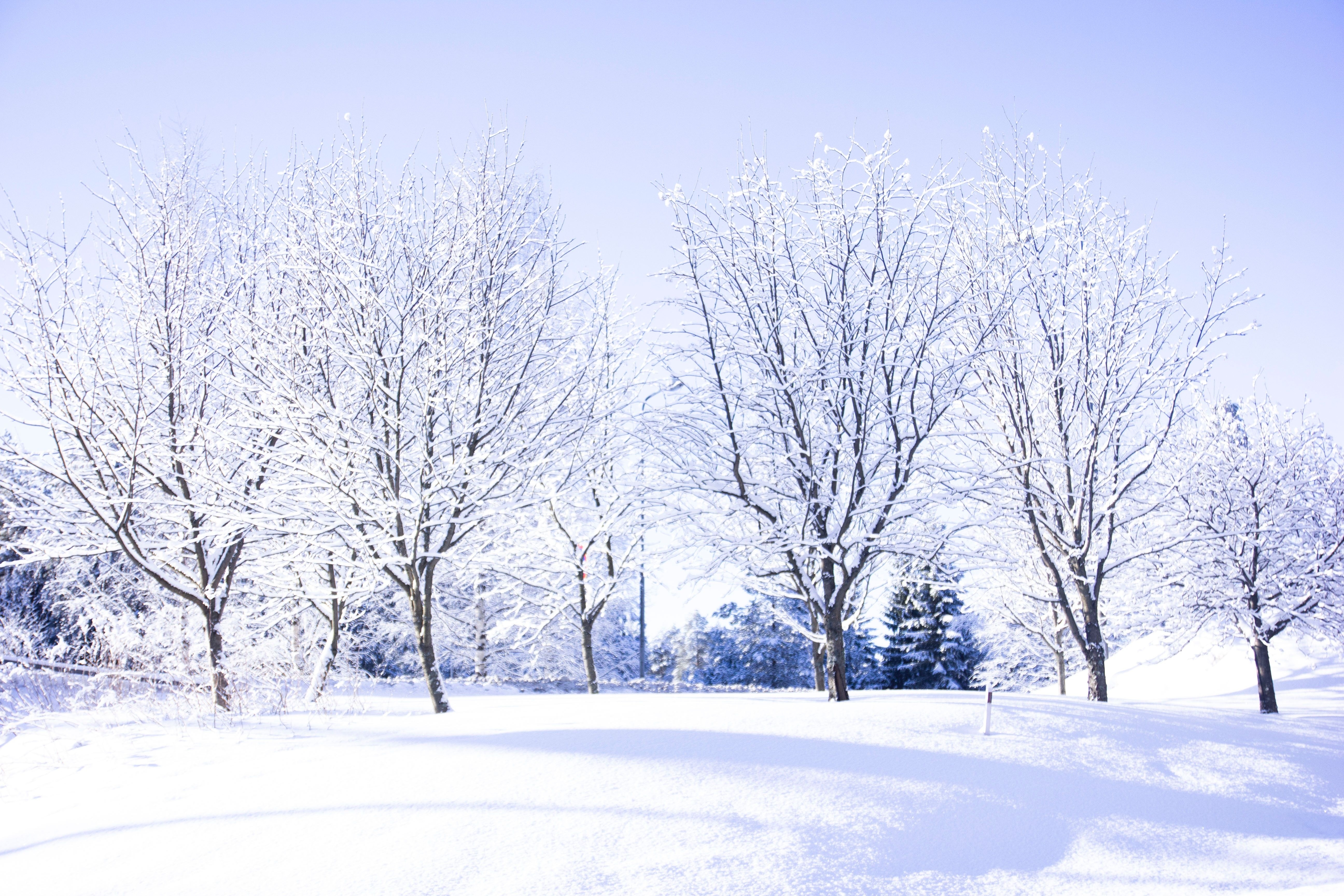 5190x3460 Winter laptop wallpaper best free wallpaper, winter, snow and outdoor photo, Desktop