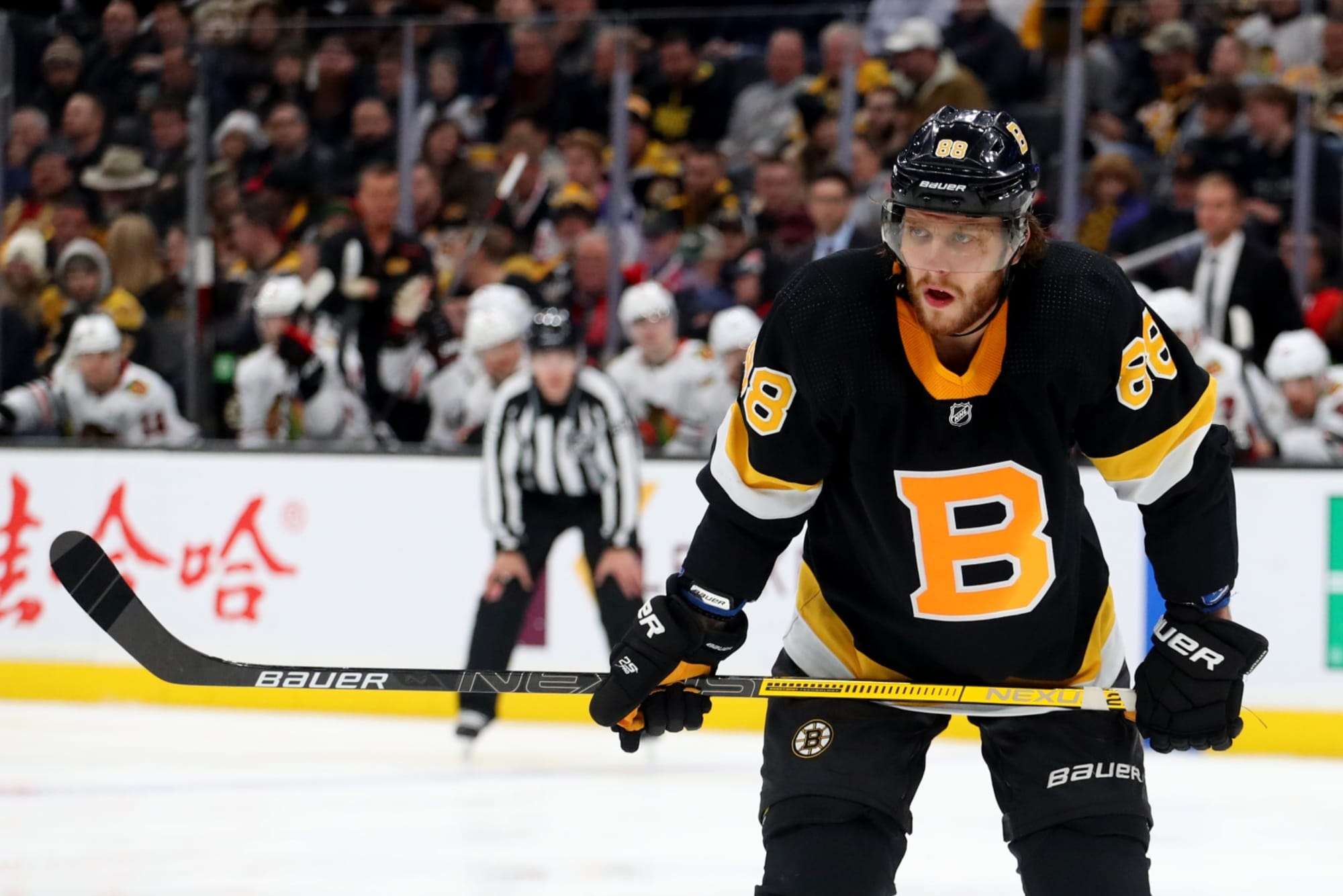 2000x1340 Boston Bruins: David Pastrnak has a point to prove, Desktop