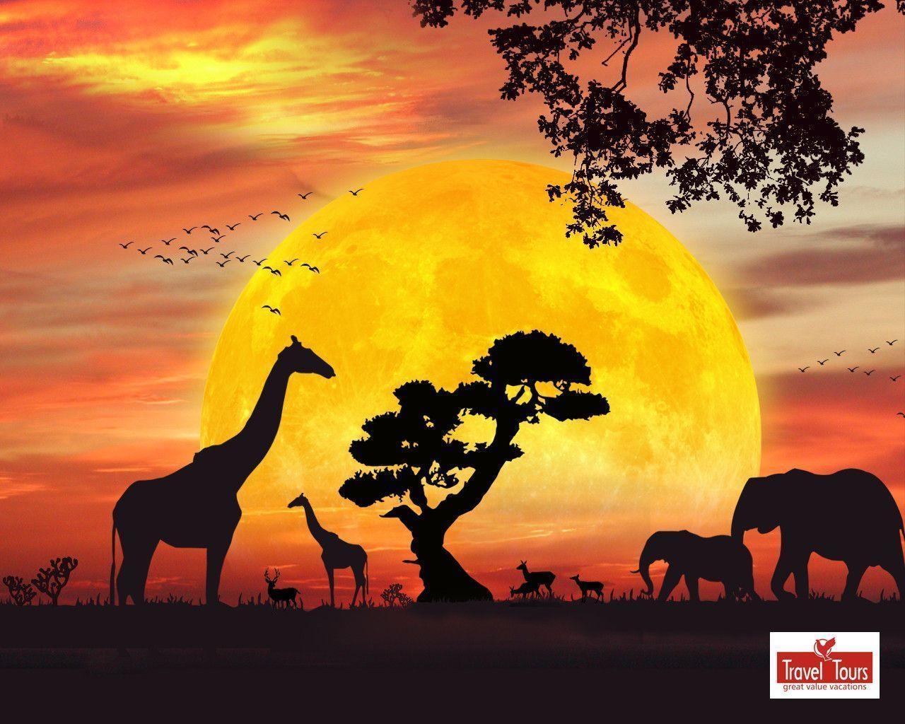 1280x1030 African Safari Live Wallpaper for Android 512x307PX Wallpaper, Desktop