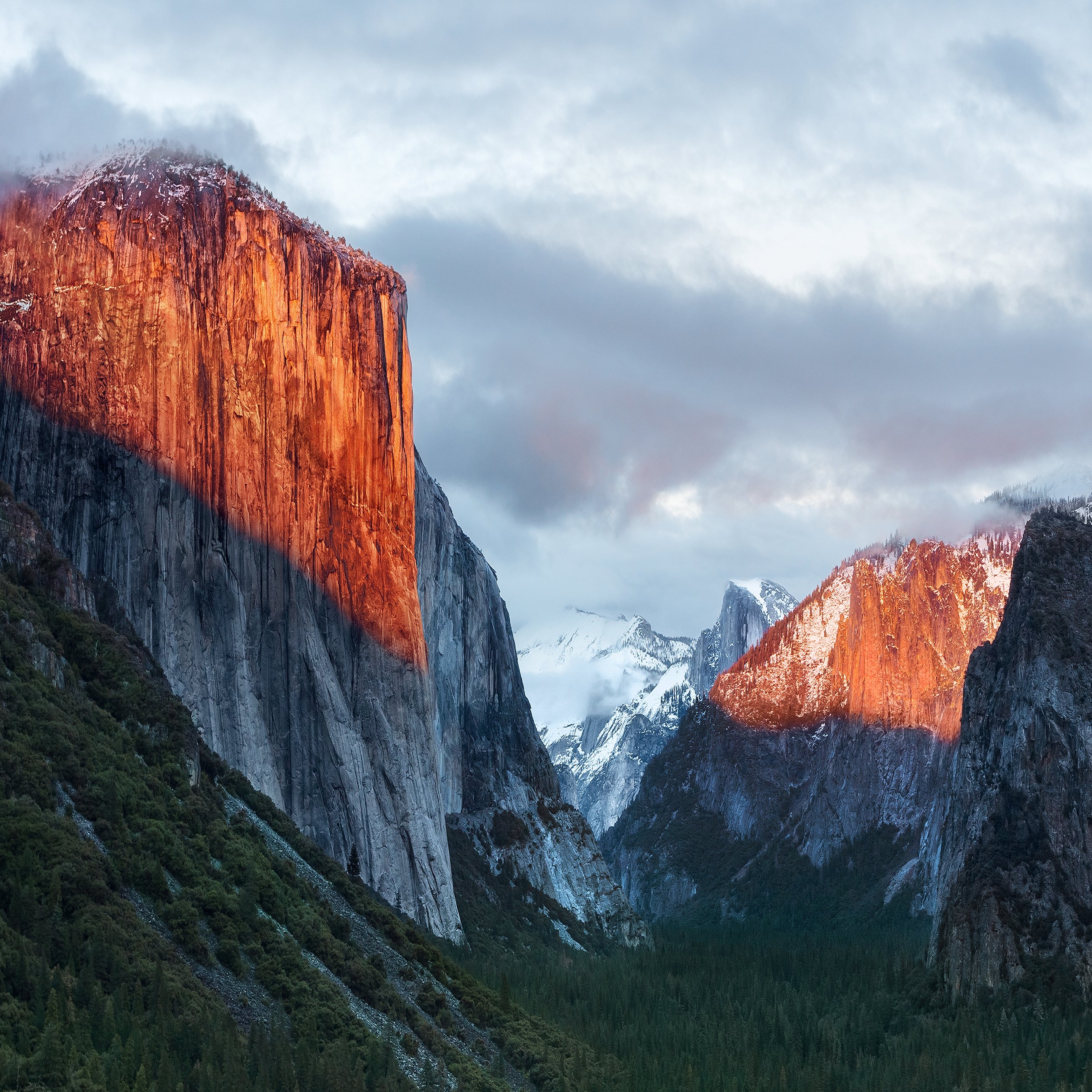 2530x2530 How to Get OS X El Capitan Wallpaper on iPhone & iPad, Phone