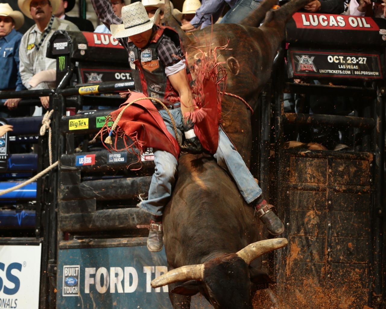 1280x1030 Free download Jb Mauney Wallpaper Jb mauney wall [1440x1800] for your Desktop, Mobile & Tablet. Explore Pbr Wallpaper. PBR Bull Riding Wallpaper, Free PBR Wallpaper, PBR Beer Wallpaper, Desktop