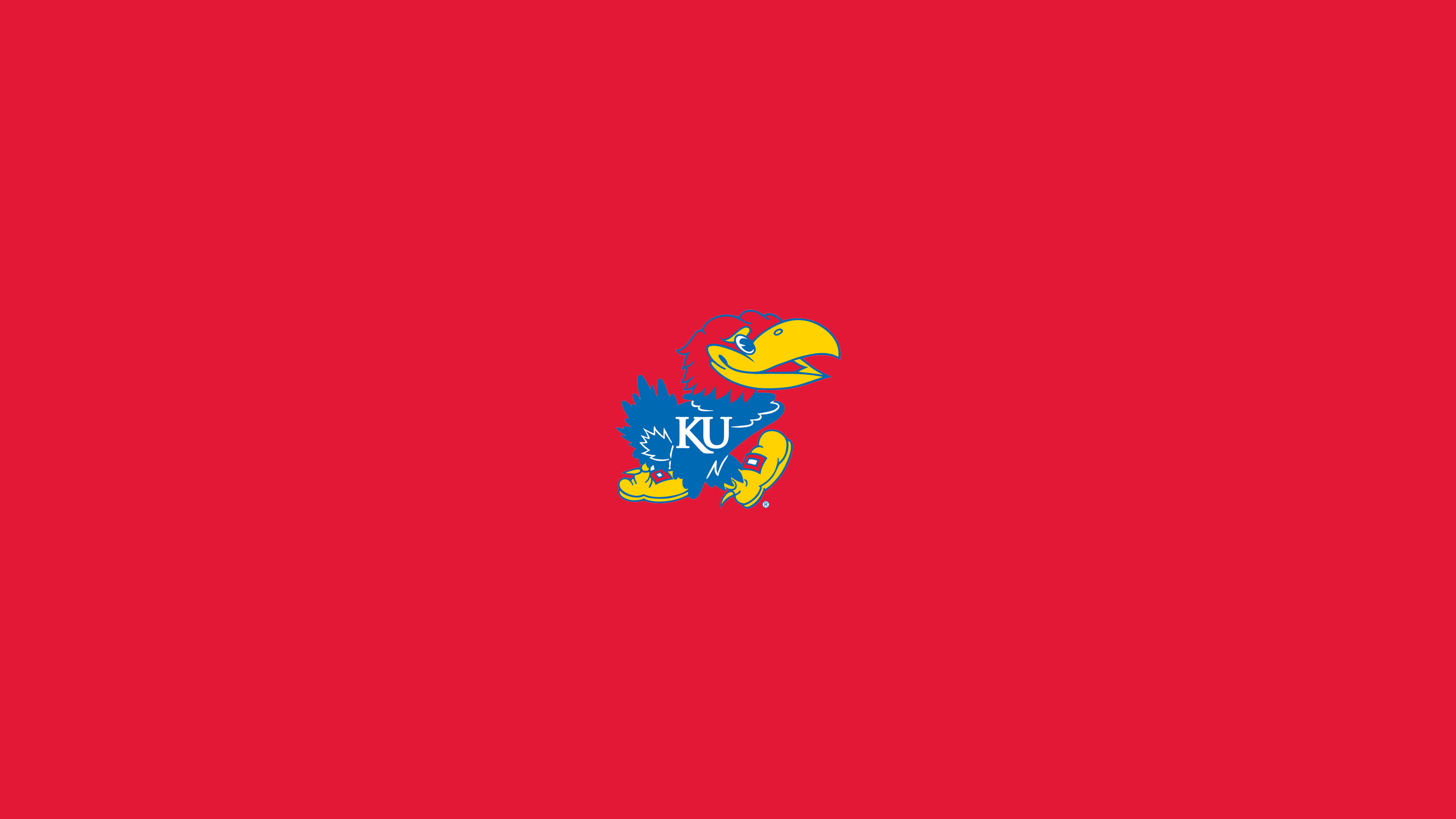 2560x1440 Ku Jayhawks Wallpaper, Desktop