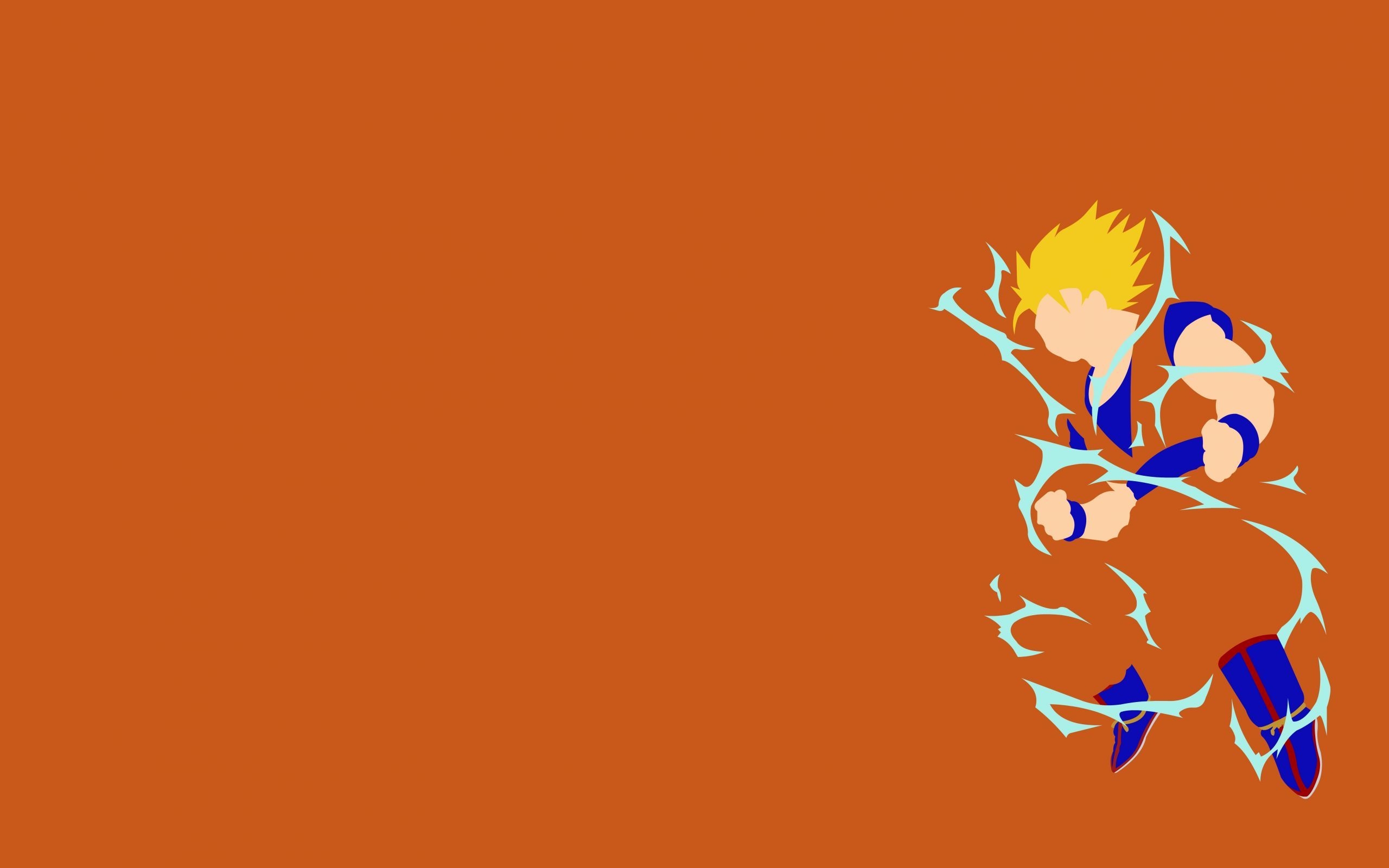 2560x1600 Unique Dbz Minimalist Wallpaper Of the Day, Desktop