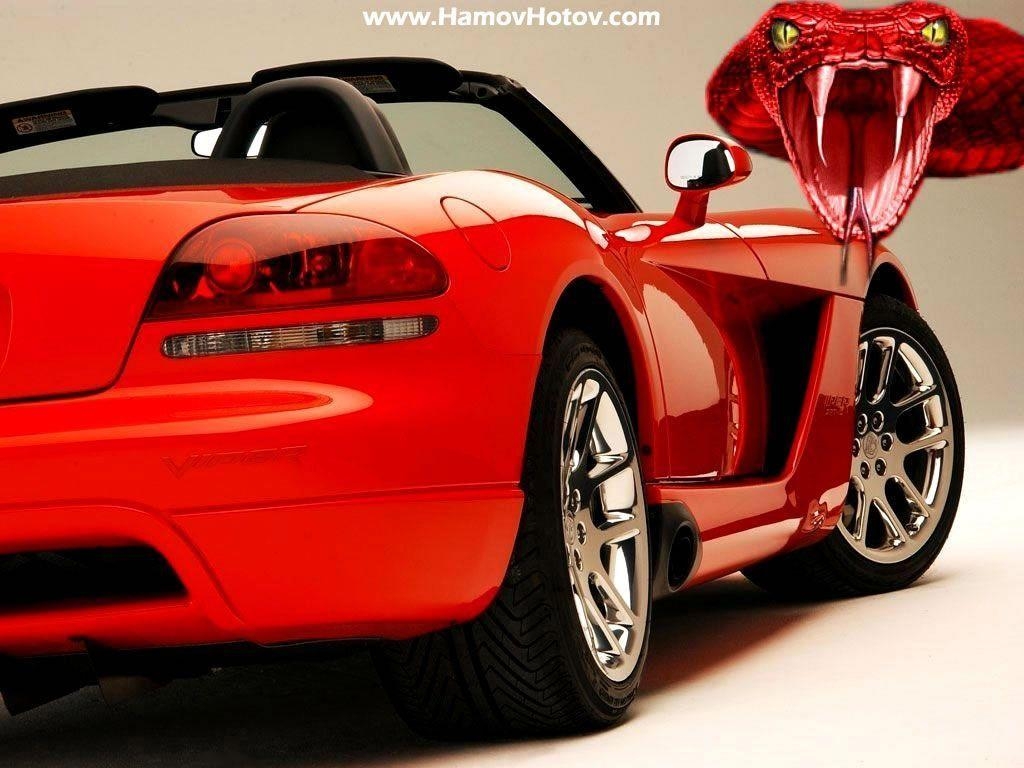 1030x770 image For > Dodge Viper Car Wallpaper, Desktop