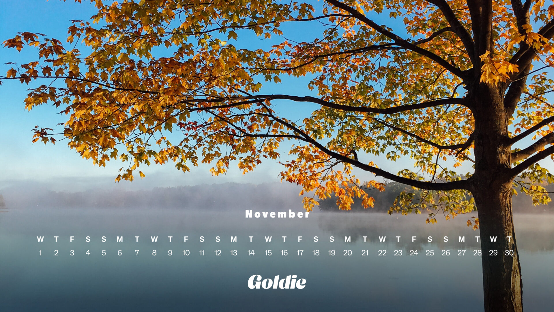 1920x1080 Free November 2023 Wallpaper Calendars, Desktop