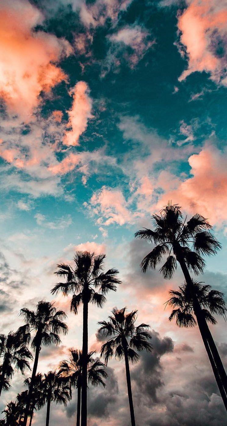 750x1400 Long Beach California iPhone Wallpaper, Phone