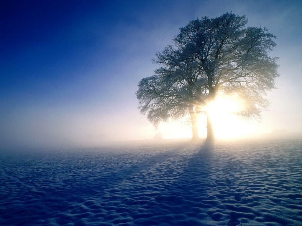 1030x770 tree cold winter sunrise snow desktop wallpaper ice HD Wallpaper, Desktop